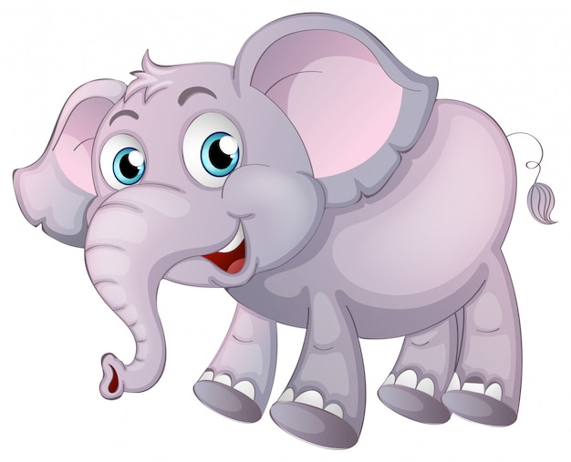 Free vector elephant on white