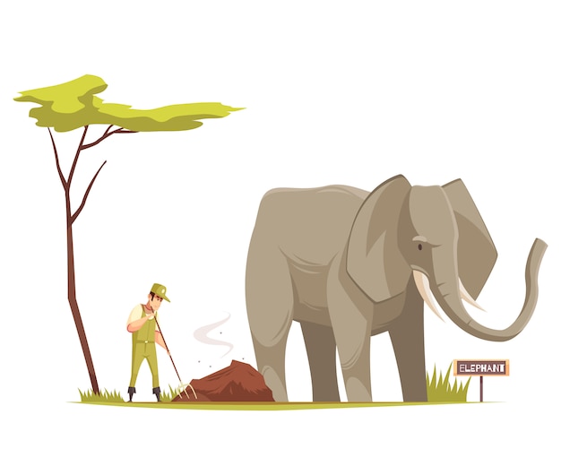 Free Vector elephant at zoo cartoon composition 