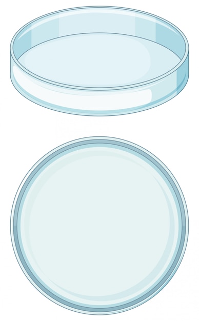 Free vector empty glass tray used in science lab