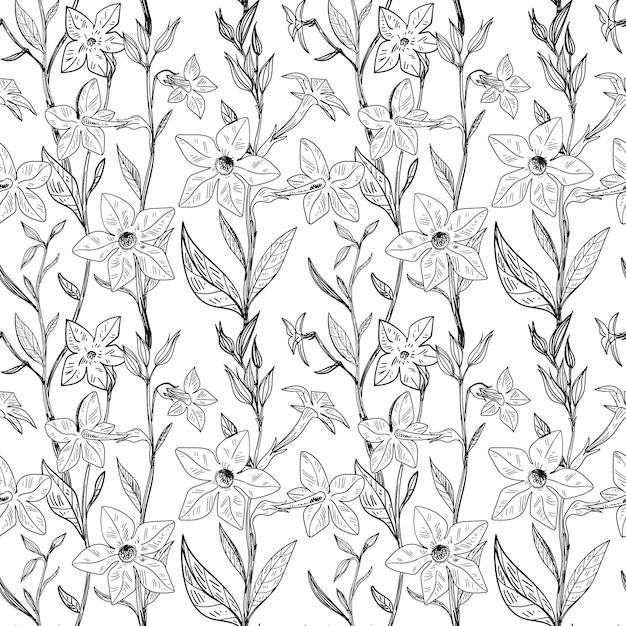 Engraving hand drawn botanical pattern design