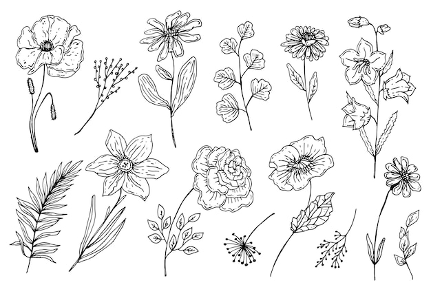 Engraving hand drawn flower collection