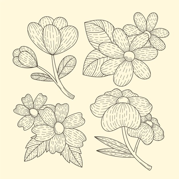 Engraving hand drawn flower collection