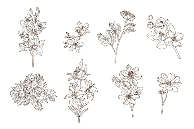 Engraving hand drawn flower collection