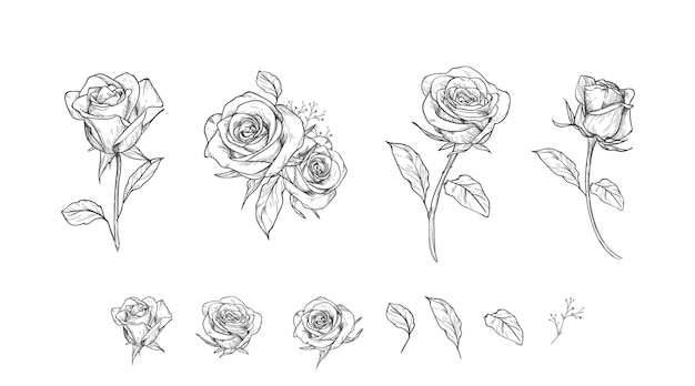 Engraving hand drawn flower collection