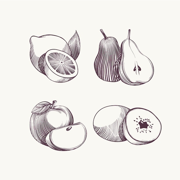 Engraving hand drawn fruit collection