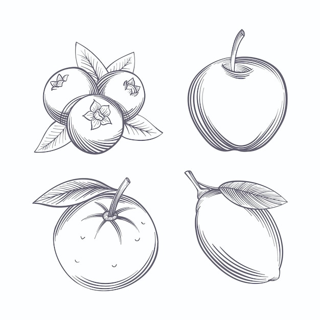 Engraving hand drawn fruit collection