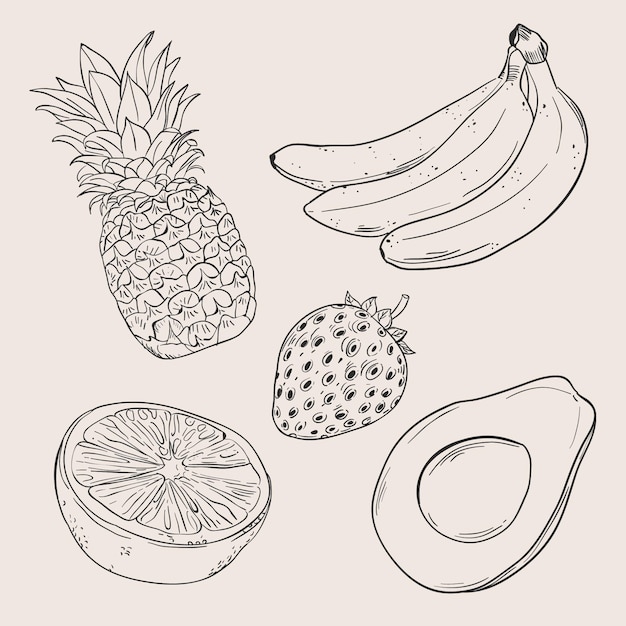 Free Vector engraving hand drawn fruit collection