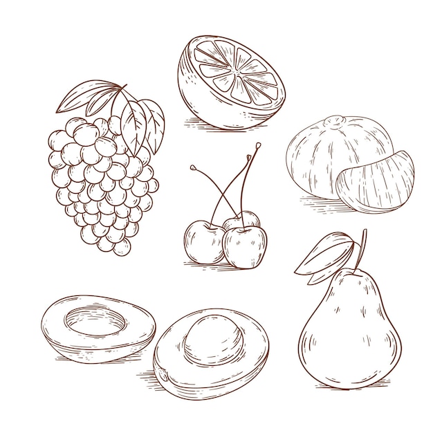 Free Vector engraving hand drawn fruit collection