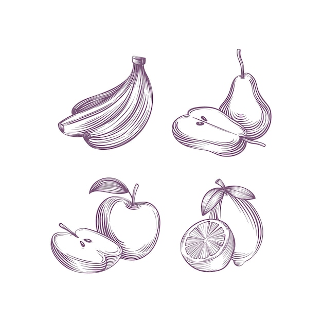 Engraving hand drawn fruit collection