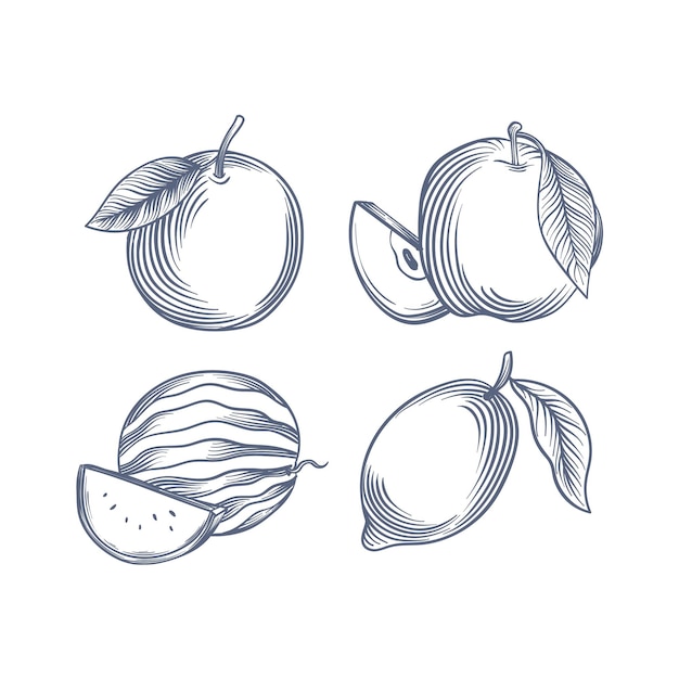 Free Vector engraving hand drawn fruit collection