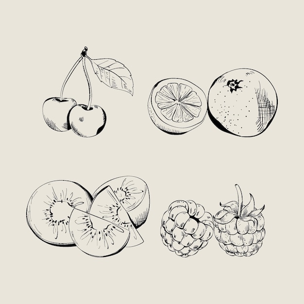 Engraving hand drawn fruit collection