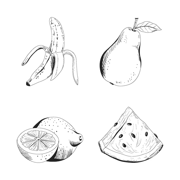 Engraving hand drawn fruit collection