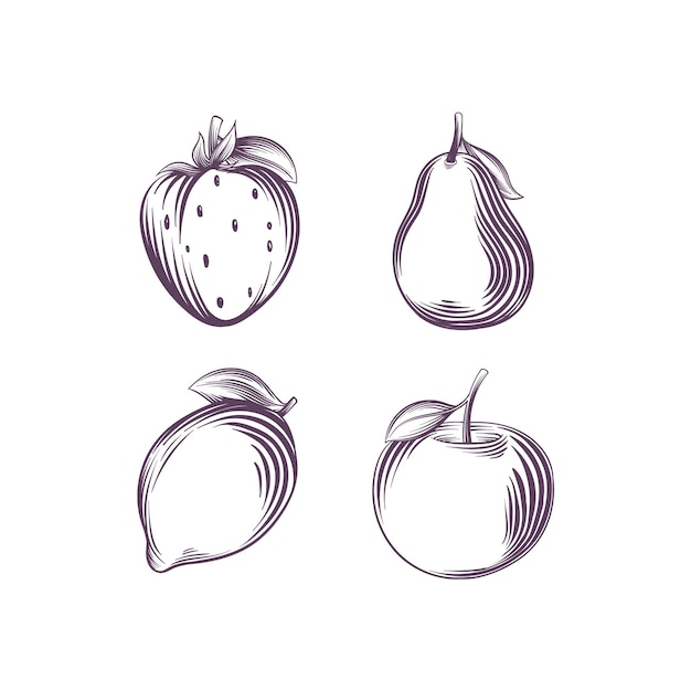 Engraving hand drawn fruit collection