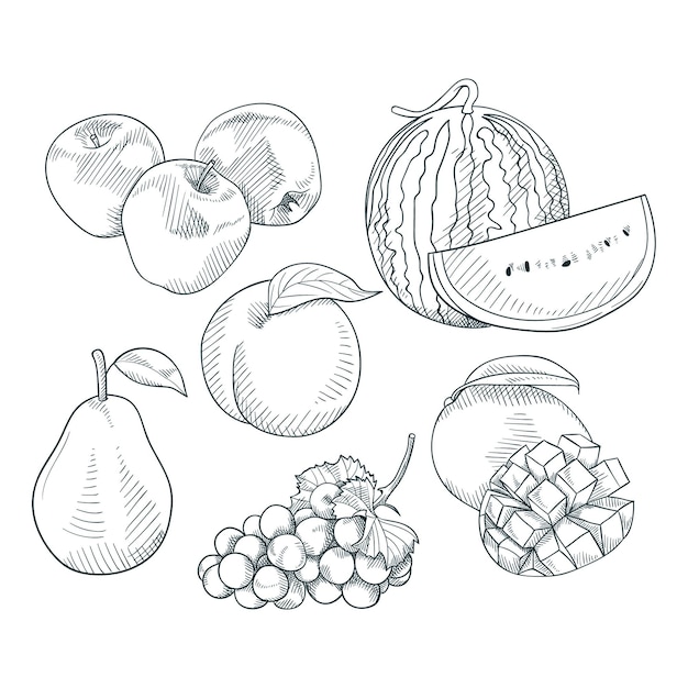 Free Vector engraving hand drawn fruit collection