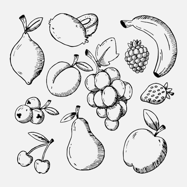 Free Vector engraving hand drawn fruit collection