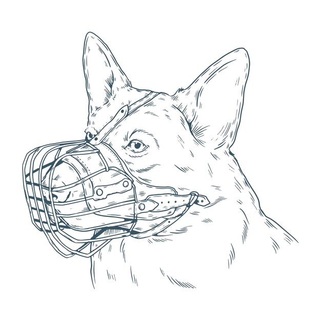 Engraving hand drawn muzzled dog