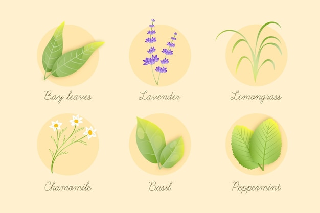 Essential oil herb pack with details