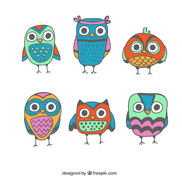 Ethnic owl collection