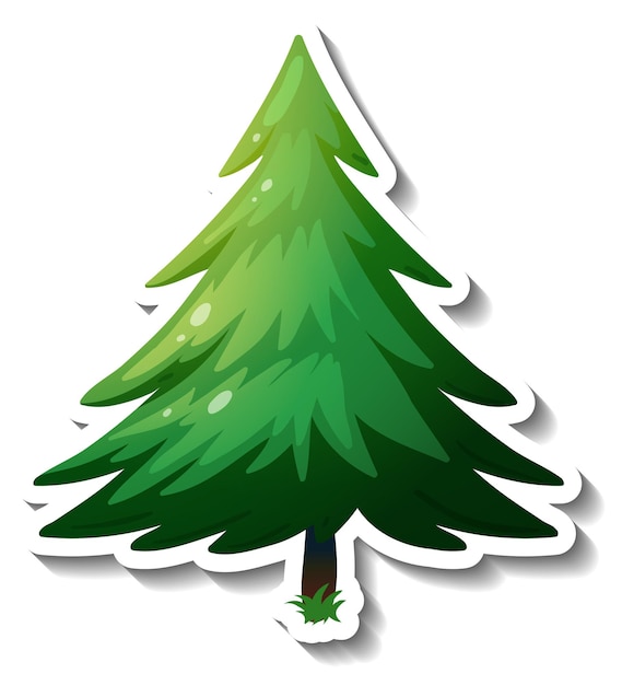 An evergreen tree sticker on white background