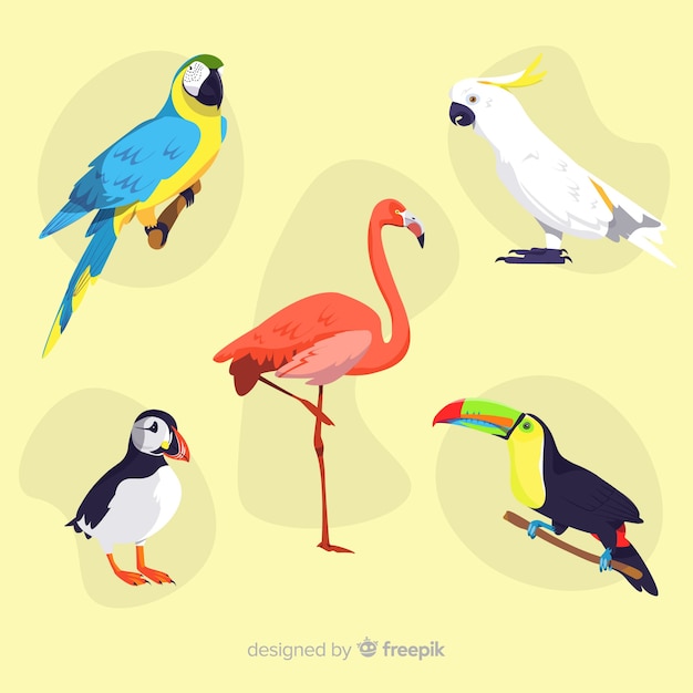 Free vector exotic bird collection flat design