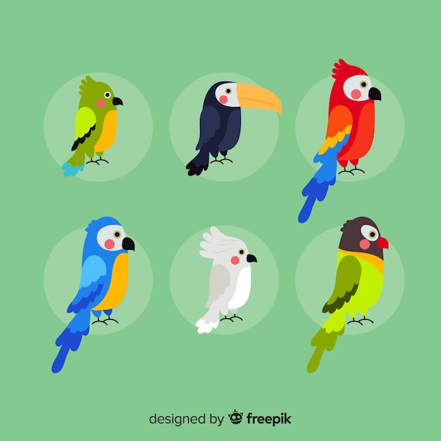 Free Vector exotic bird collection flat design