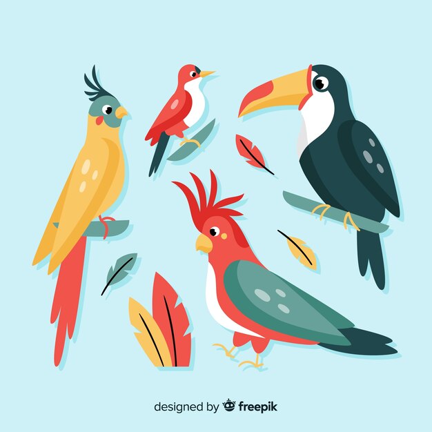 Exotic bird collection flat style