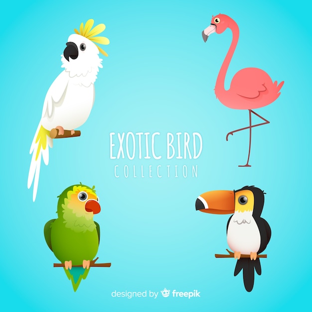 Free vector exotic bird collection flat style