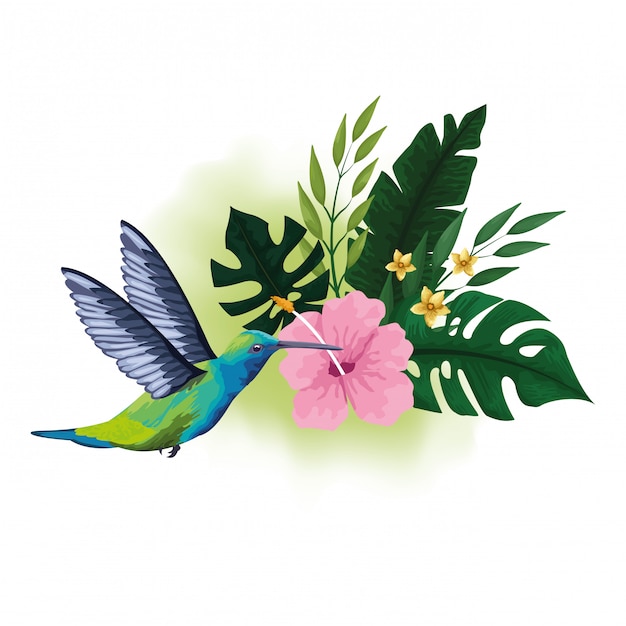 Free vector exotic bird and tropical flowers drawing