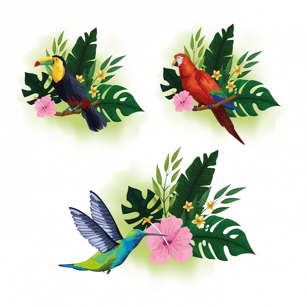 Free Vector exotic birds and tropical fauna