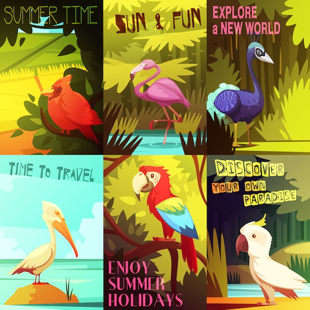 Free vector exotic colorful birds 6 posters composition with cockatoo parrot  pelican and flamingo