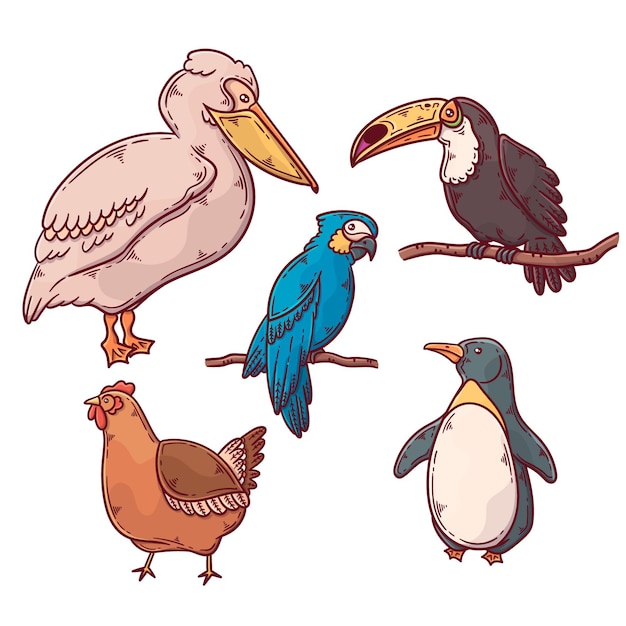 Free Vector exotic and domestic birds collection