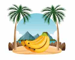 Free vector exotic tropical fruit icon cartoon