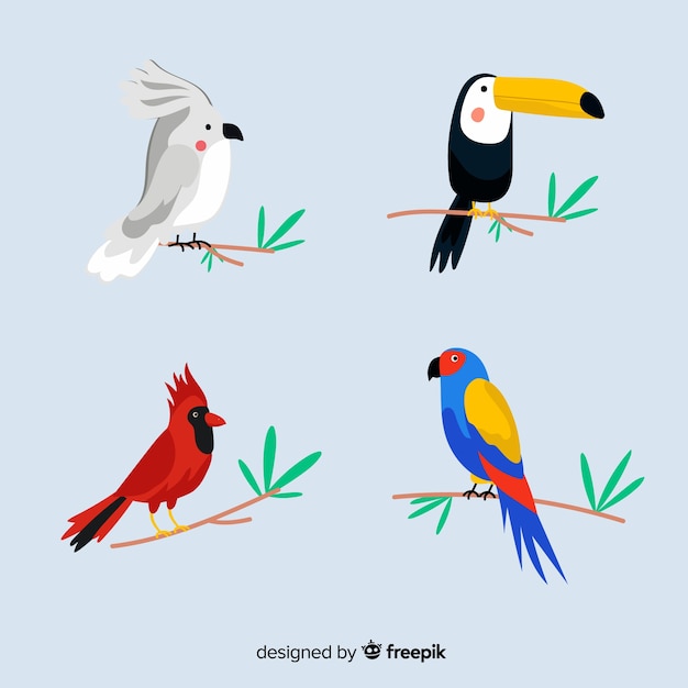 Free Vector exotic tropical wild bird collection