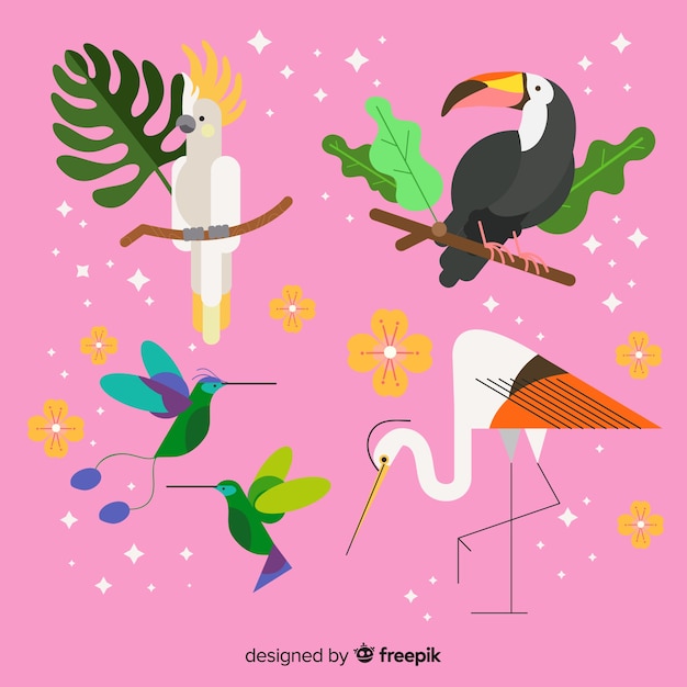 Free vector exotic tropical wild bird collection