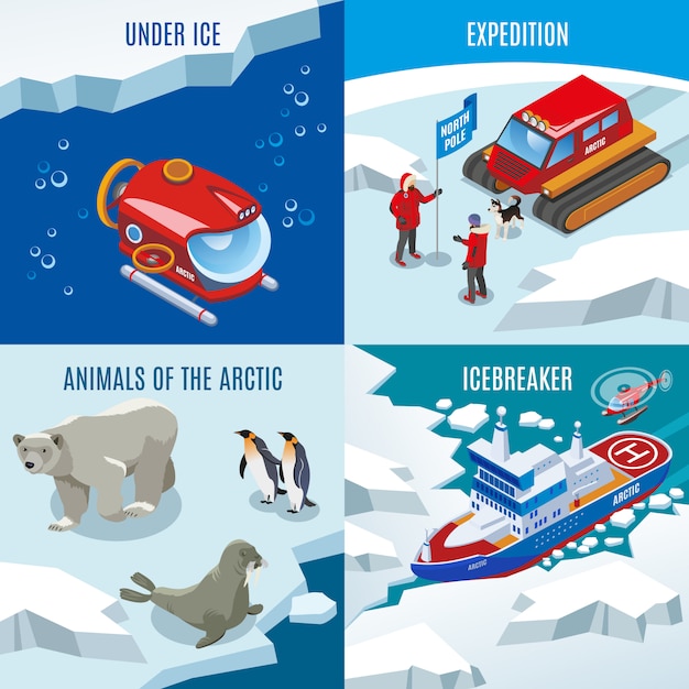 Free vector expedition northern animals discoveries under frozen water ice breaker composition set