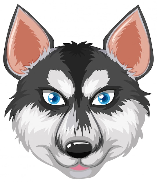 Free Vector face of siberian husky