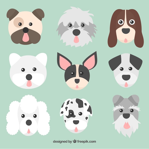 Free Vector faces collection dogs of different races