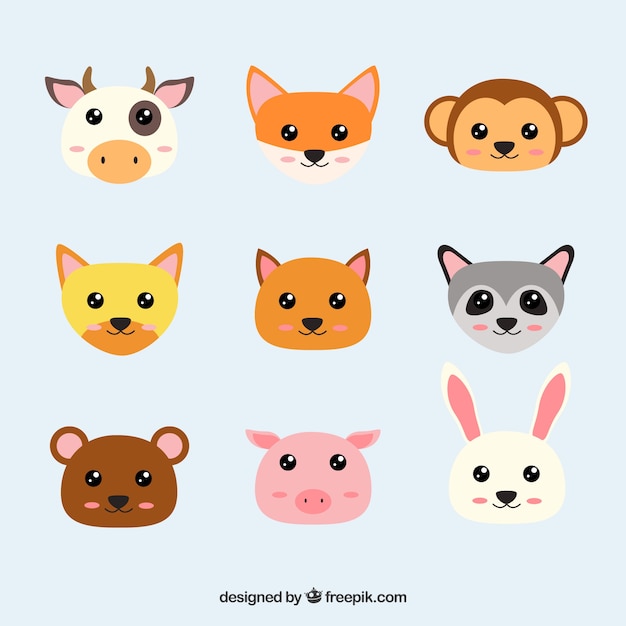 Faces of kawaii animals