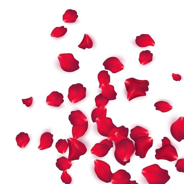 Free vector falling red rose petals isolated on white background. vector illustration eps10