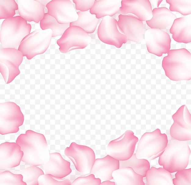 Falling red rose petals isolated on white background. Vector illustration EPS10