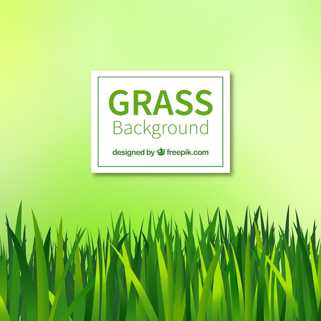 Fantastic background with realistic green grass