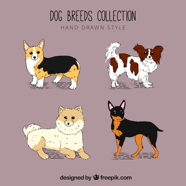 Free Vector fantastic collection of dogs with variety of breeds