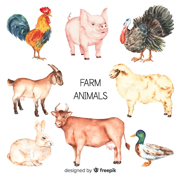 Free Vector farm animal collectio