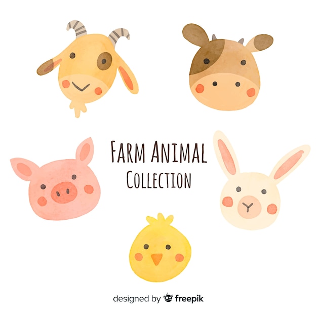 Farm animal collectio