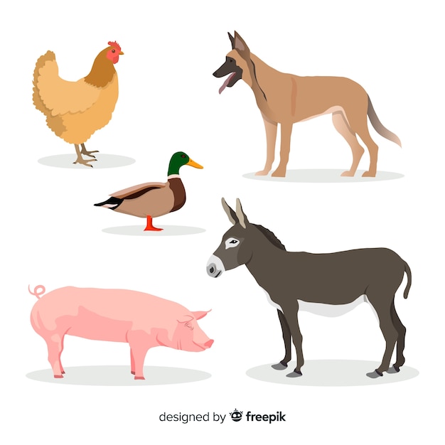 Free Vector farm animal collection in flat style