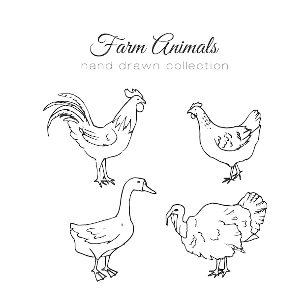 Free vector farm animal hand drawn collection