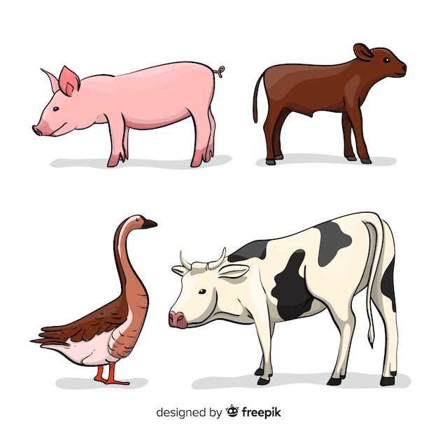 Farm animals collection in hand drawn style