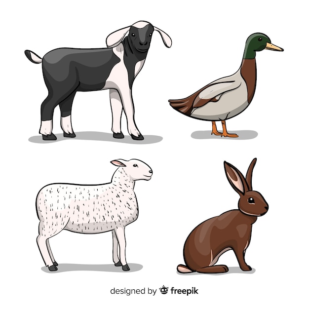 Farm animals collection in hand drawn style