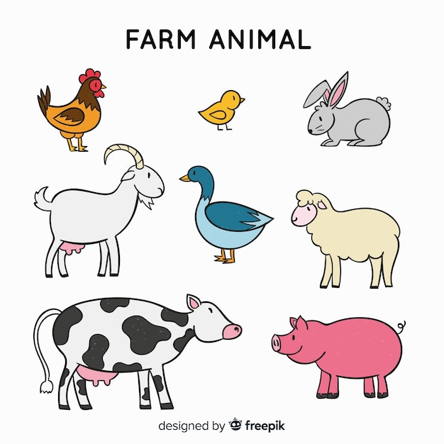 Farm animals collection in hand drawn style