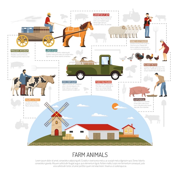 Farm Animals Flowchart Concept